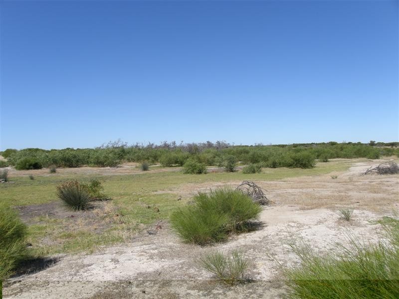 256 Erriary Road (Lot 10296), West Binnu WA 6532