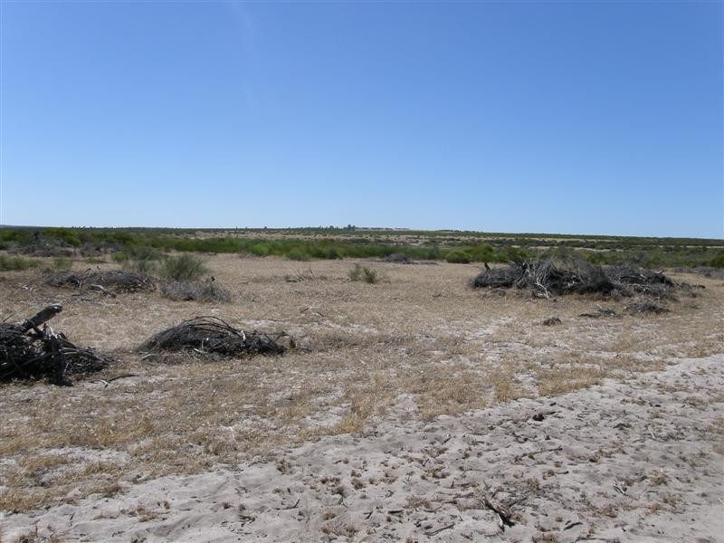 256 Erriary Road (Lot 10296), West Binnu WA 6532