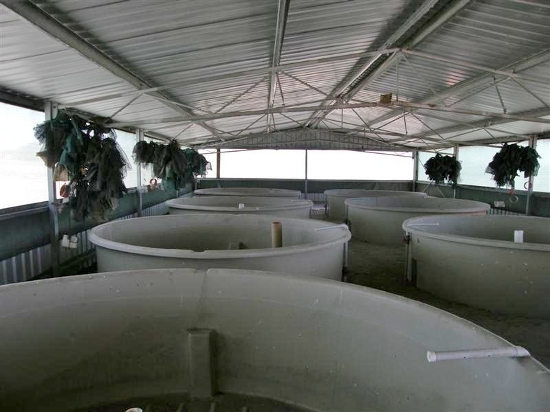 256 Erriary Road (Lot 10296), West Binnu WA 6532