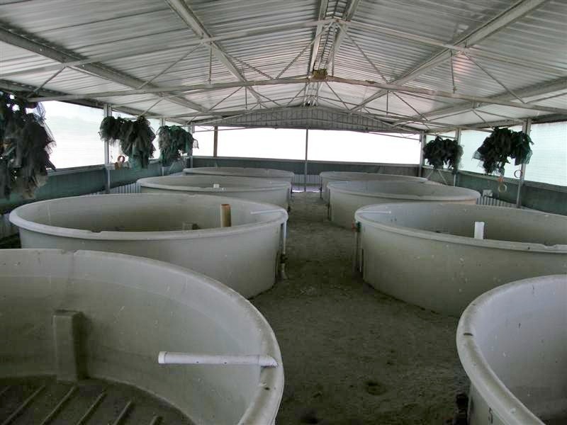 256 Erriary Road (Lot 10296), West Binnu WA 6532