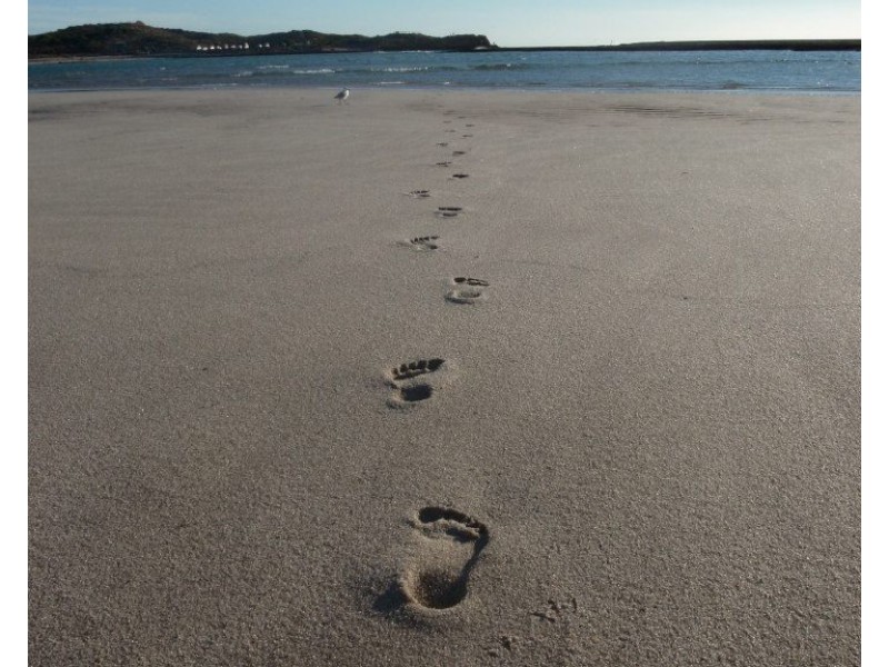 15 Lot 956 Gliddon Avenue, Kalbarri WA 6536