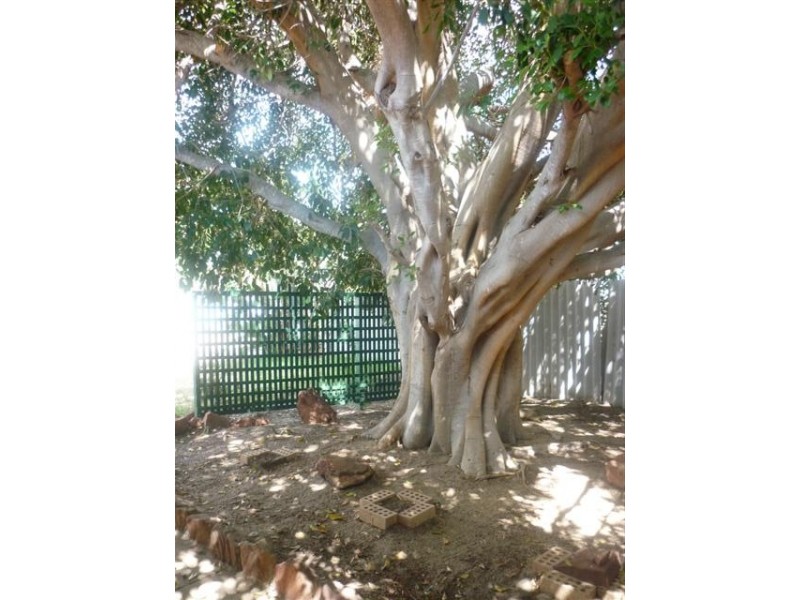 7 Mallard Street, Kalbarri WA 6536