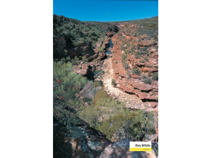 10 Lot 227 Waitzia Way, Kalbarri WA 6536