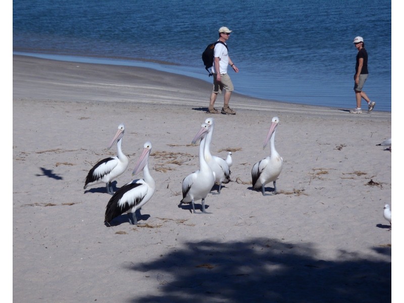 18 Lot 32 Amber Vista, Kalbarri WA 6536