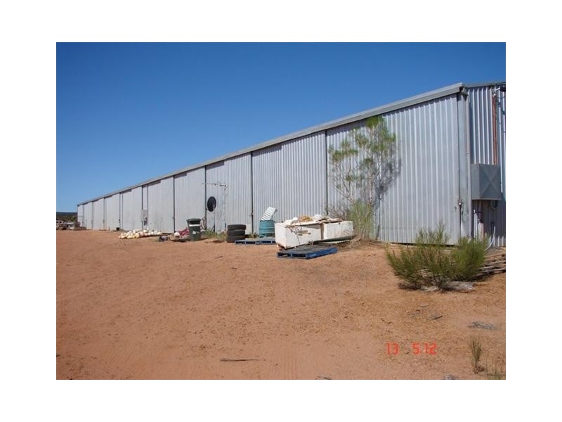 Unit 5/25 Sutherland Street, Kalbarri WA 6536