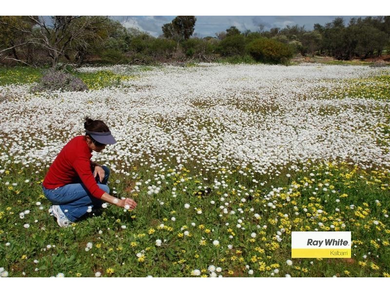 17 Lot 89 Charlton Loop, Kalbarri WA 6536
