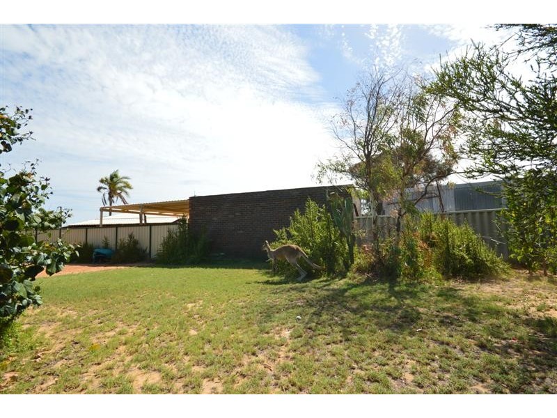 6 Ralph Street, Kalbarri WA 6536