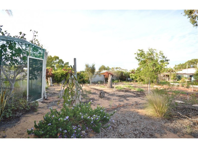 18 Balaam Street, Kalbarri WA 6536