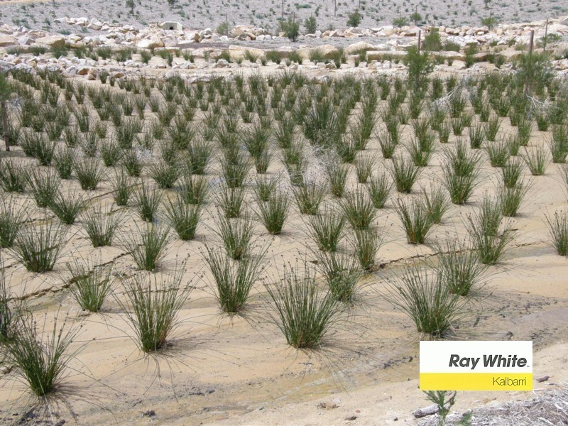 5 Lot 206 Wurmbea Way, Kalbarri WA 6536