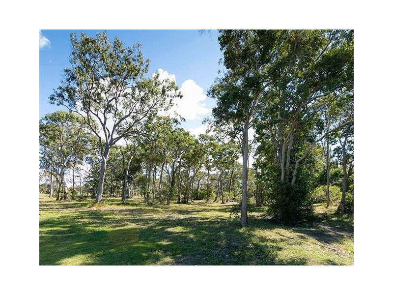 48 Francis Avenue, Booral QLD 4655