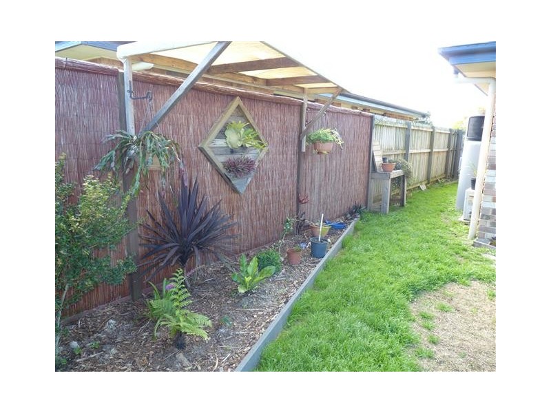 53 Bunya Court, Eli Waters QLD 4655