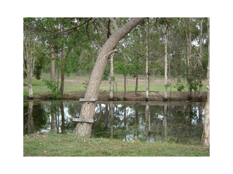 54 Lord Street, Sunshine Acres QLD 4655