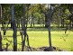 100 Tooth Street, Pialba QLD 4655