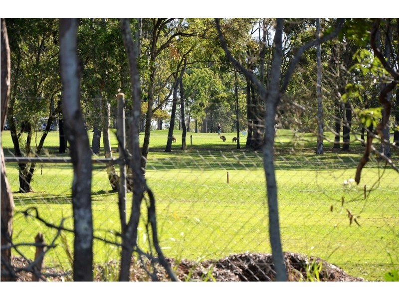 100 Tooth Street, Pialba QLD 4655