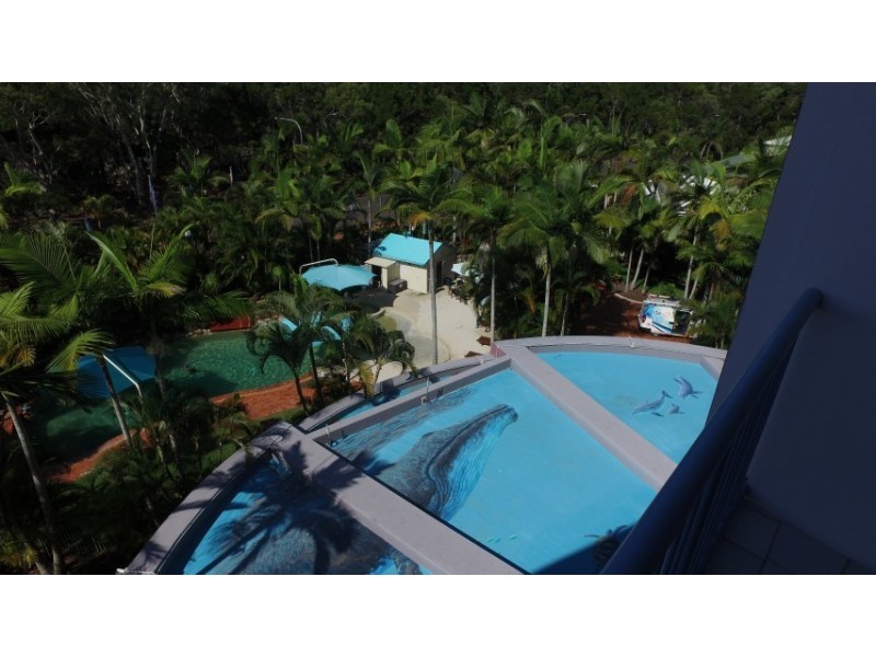 43/386 Esplanade, Torquay QLD 4655