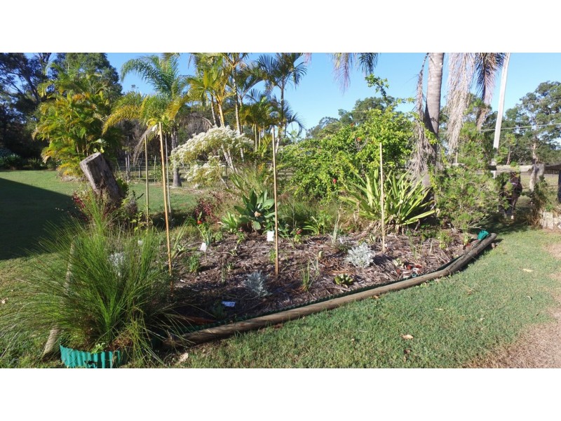 342 Condor Drive, Sunshine Acres QLD 4655