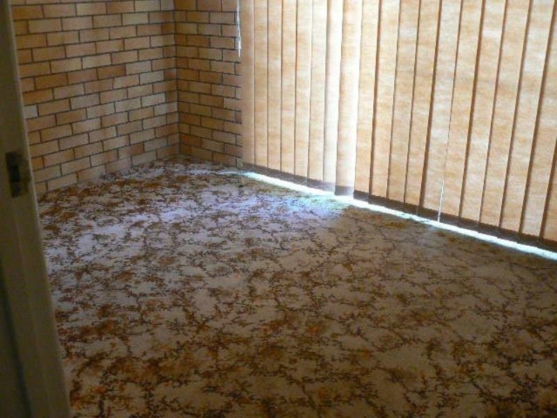 26 Esplanade, Point Vernon QLD 4655