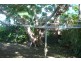 1/72 Hibiscus Street, Urangan QLD 4655