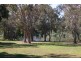 43 Richard Street, Urangan QLD 4655
