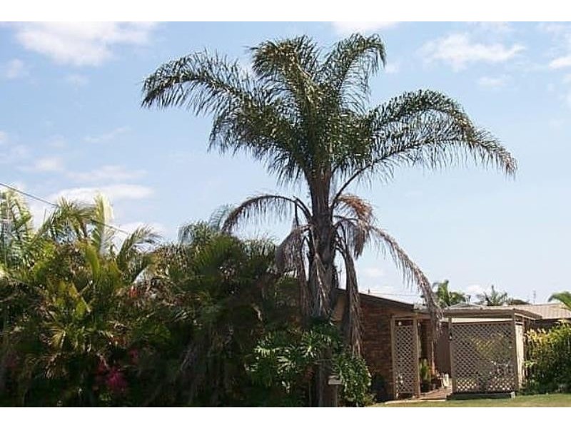 73 Romney Street, Pialba QLD 4655