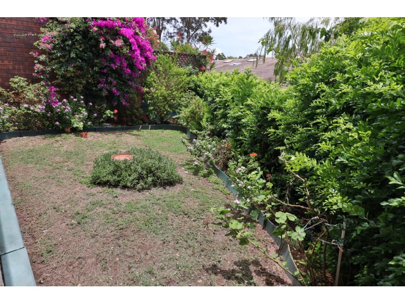 15/272 Torquay Terrace, Torquay QLD 4655