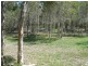 159 Barranjoey Drive, Sunshine Acres QLD 4655