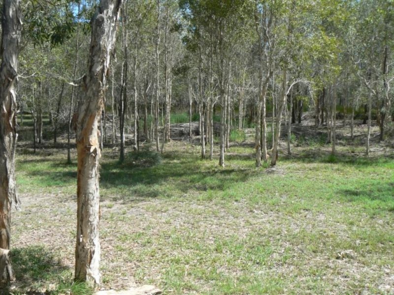 159 Barranjoey Drive, Sunshine Acres QLD 4655