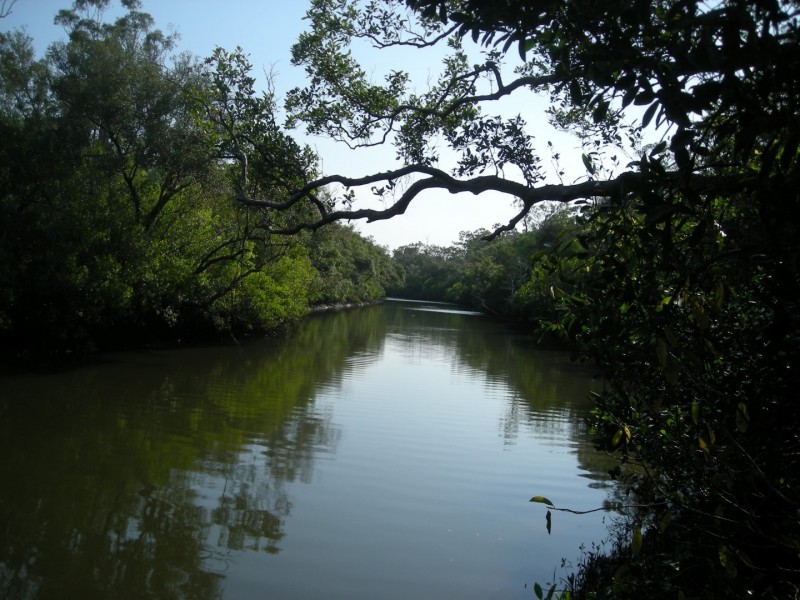 86 Pacific Haven Circuit, Pacific Haven QLD 4659