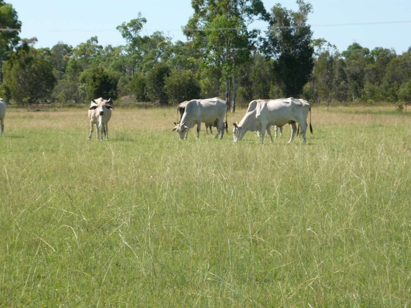 639 Noble Rd, Susan River QLD 4655