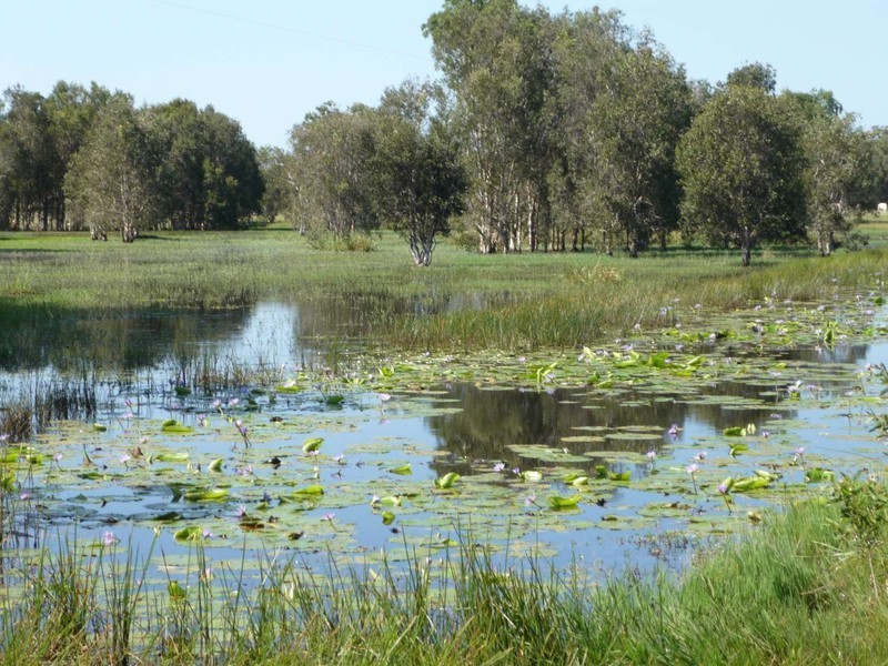 639 Noble Rd, Susan River QLD 4655