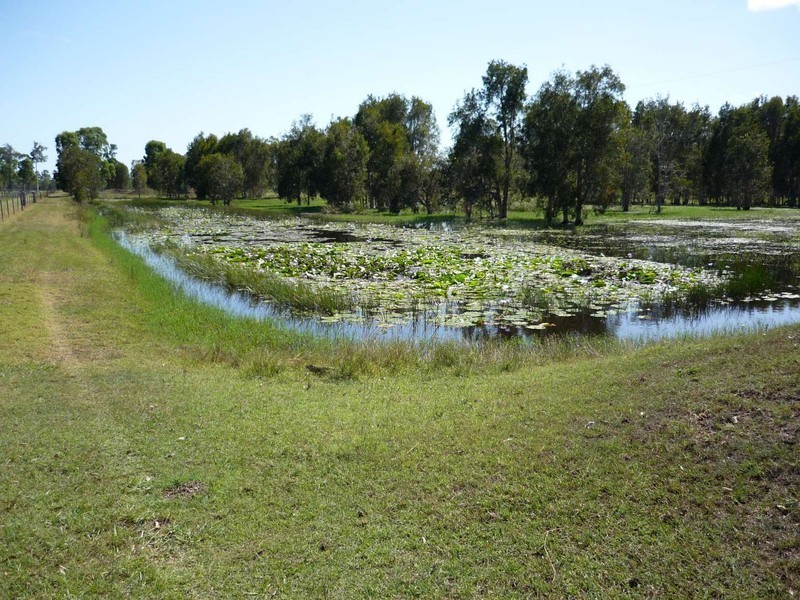 639 Noble Rd, Susan River QLD 4655