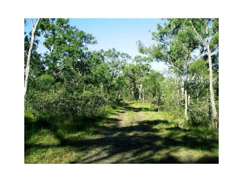 269 Pacific Haven Cct, Pacific Haven QLD 4659