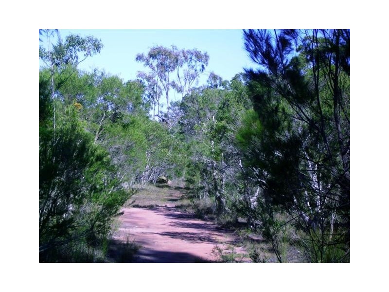 269 Pacific Haven Cct, Pacific Haven QLD 4659