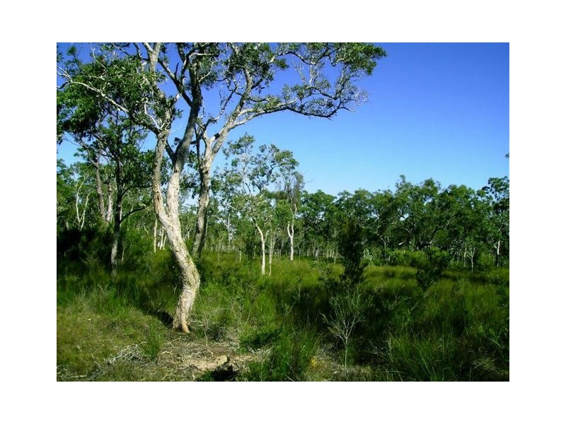 269 Pacific Haven Cct, Pacific Haven QLD 4659