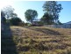 41 Turrum St, Scarness QLD 4655