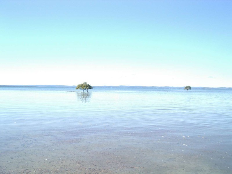 80 Ti Tree Road East, Booral QLD 4655