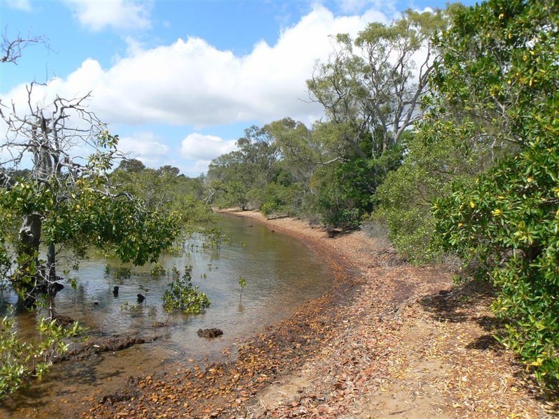 80 Ti Tree Road East, Booral QLD 4655