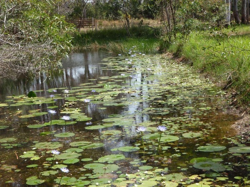 80 Ti Tree Road East, Booral QLD 4655