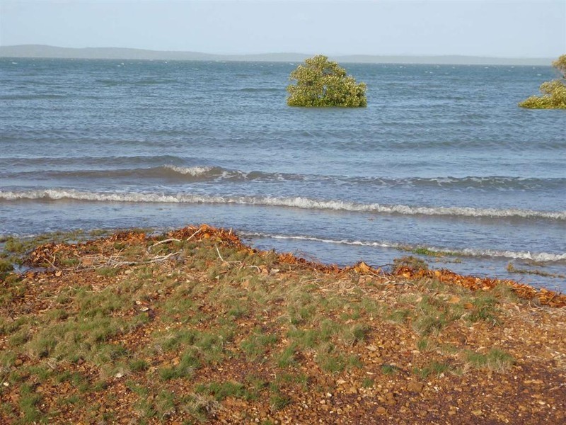 80 Ti Tree Road East, Booral QLD 4655