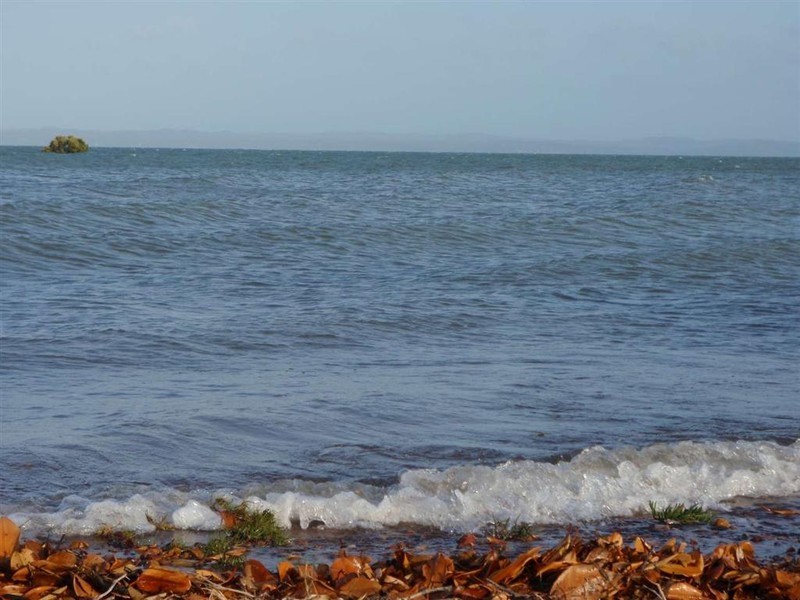 80 Ti Tree Road East, Booral QLD 4655