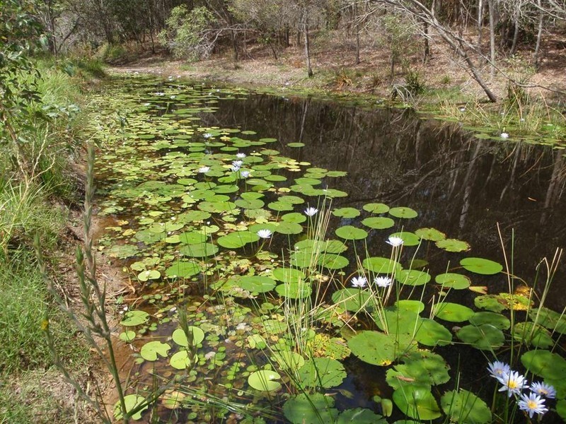 80 Ti Tree Road East, Booral QLD 4655