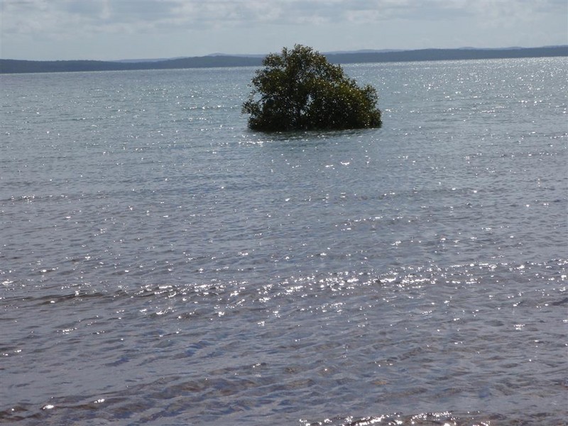 80 Ti Tree Road East, Booral QLD 4655