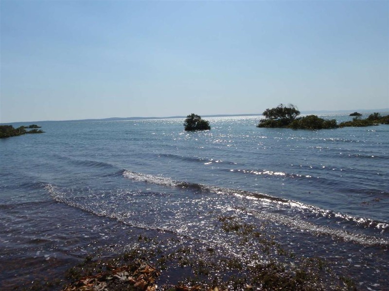 80 Ti Tree Road East, Booral QLD 4655