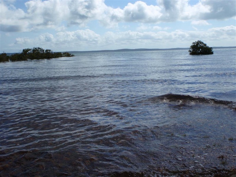 80 Ti Tree Road East, Booral QLD 4655