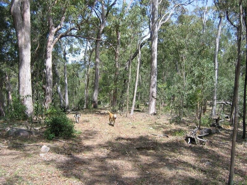 Mount Perry QLD 4671