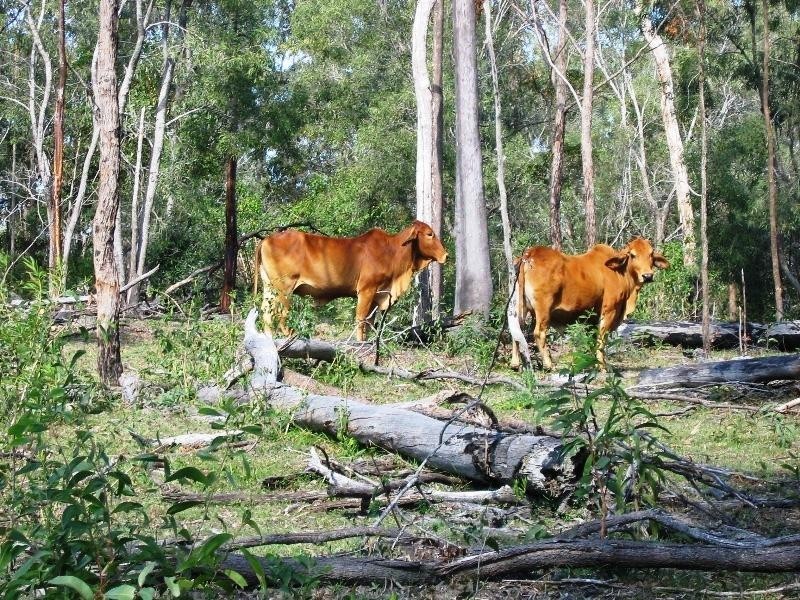 Mount Perry QLD 4671