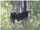 Berajondo QLD 4674