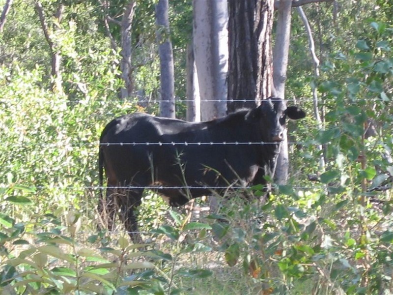 Berajondo QLD 4674