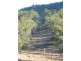 Berajondo QLD 4674