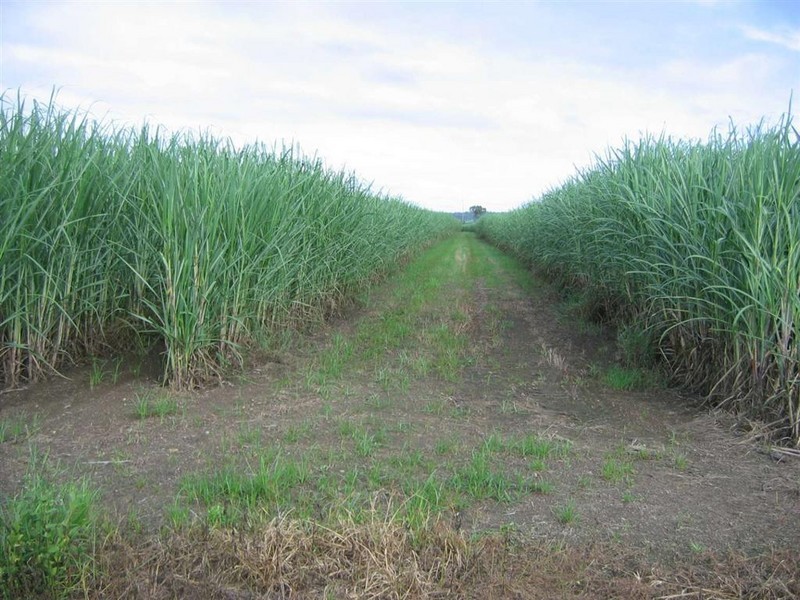 Wallaville QLD 4671